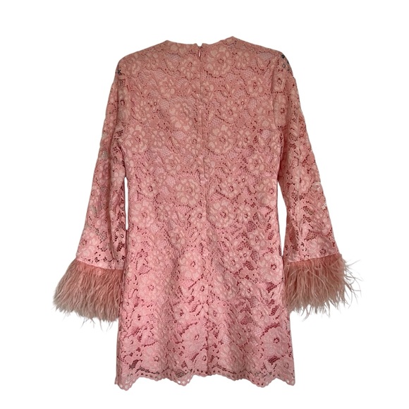 Likely Lorie Feather Trim Long Sleeve Lace Mini Dress in Rose Shadow NWT - Picture 6 of 11